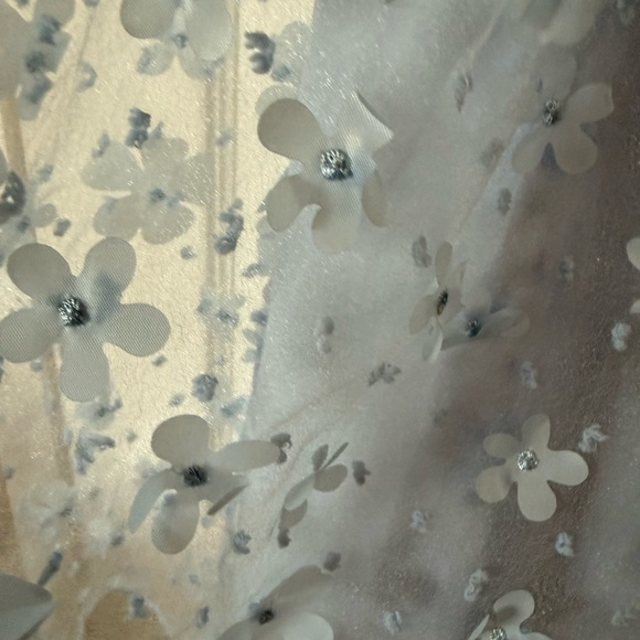 EUC Romantic cottage core dress. Size M, puff sleeve, lt blue and 3 D flowers. - Picture 6 of 6